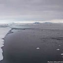 La fauna será una de las más afectadas con la minería en el ártiico. Foto: DW.