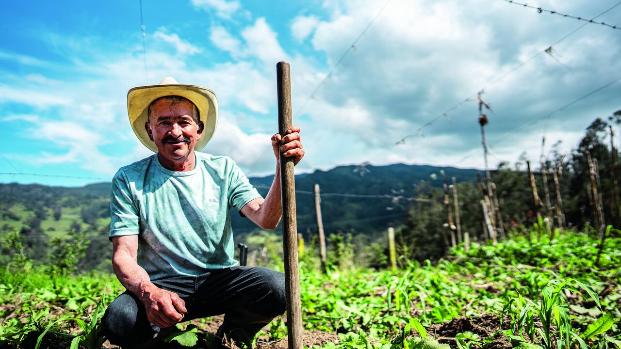 Campesinos, dueños de predios, inversionistas y empresas han encontrado en la conservación de tierras una oportunidad para el desarrollo económico.