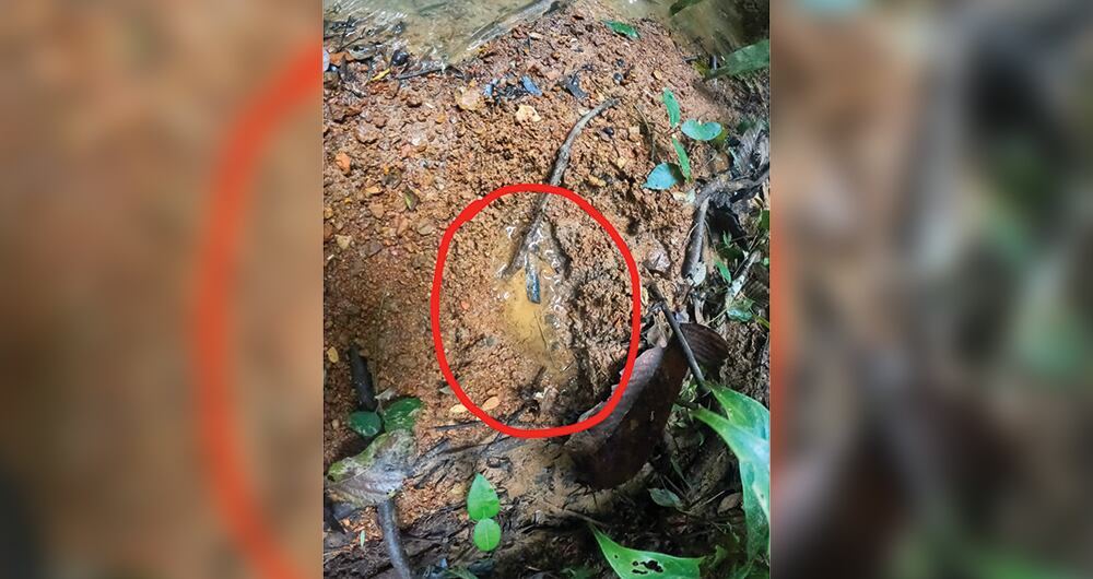 Mientras avanza la búsqueda, el misticismo, la fe y la esperanza se apoderan de todos.