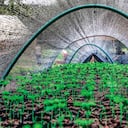 Vívero Guayacanes, en Antioquia