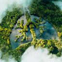 Latam Airlines y Aviatur se unen para reducir el impacto ambiental de las empresas.