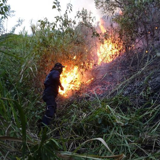 Incendios de cobertura vegetal