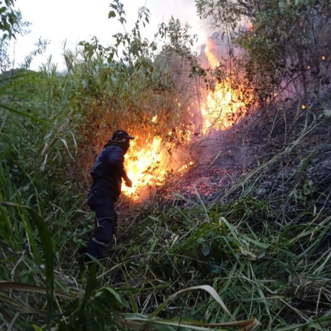 Incendios de cobertura vegetal