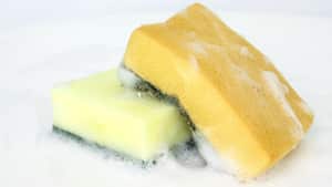 ¿Cada cuánto hay que cambiar la esponja de cocina?