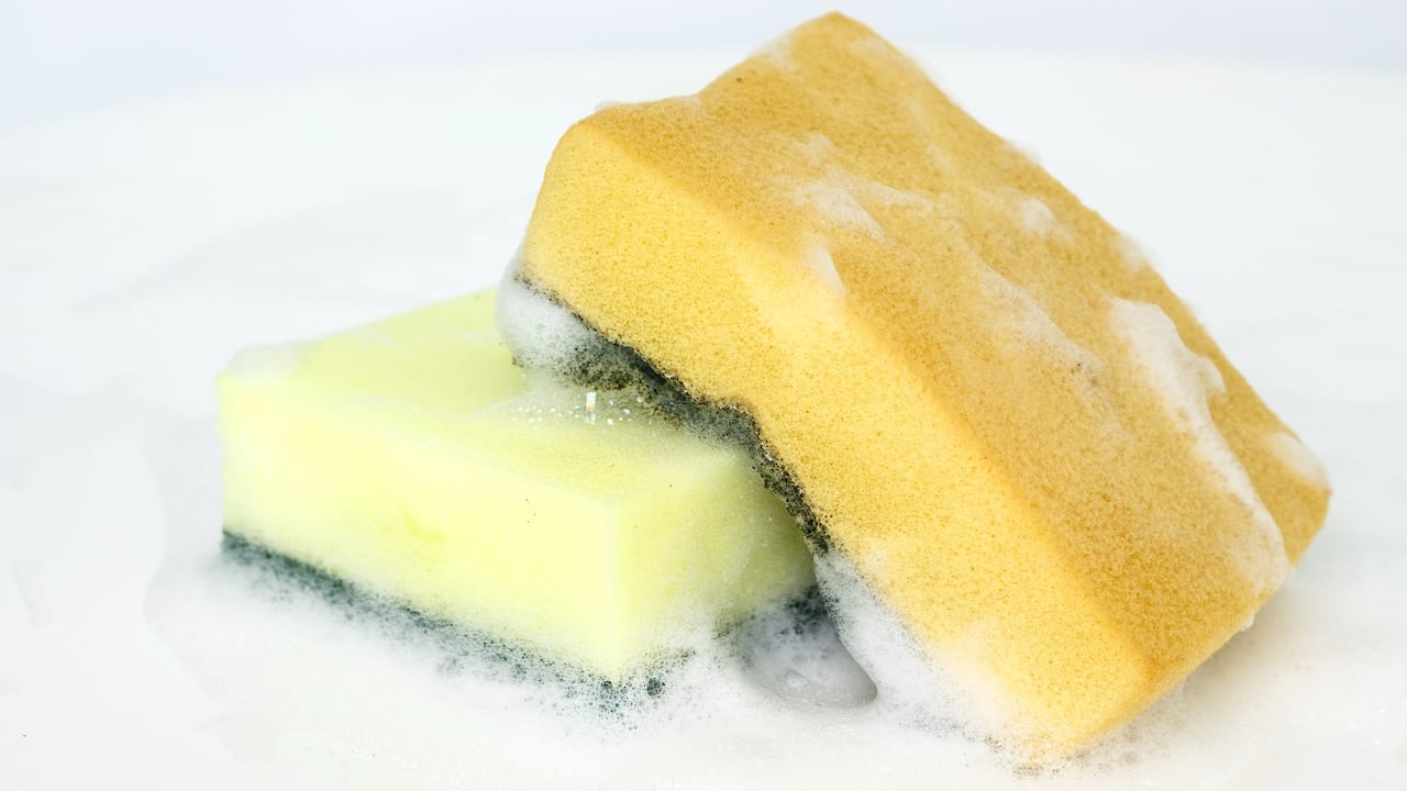 ¿Cada cuánto hay que cambiar la esponja de cocina?