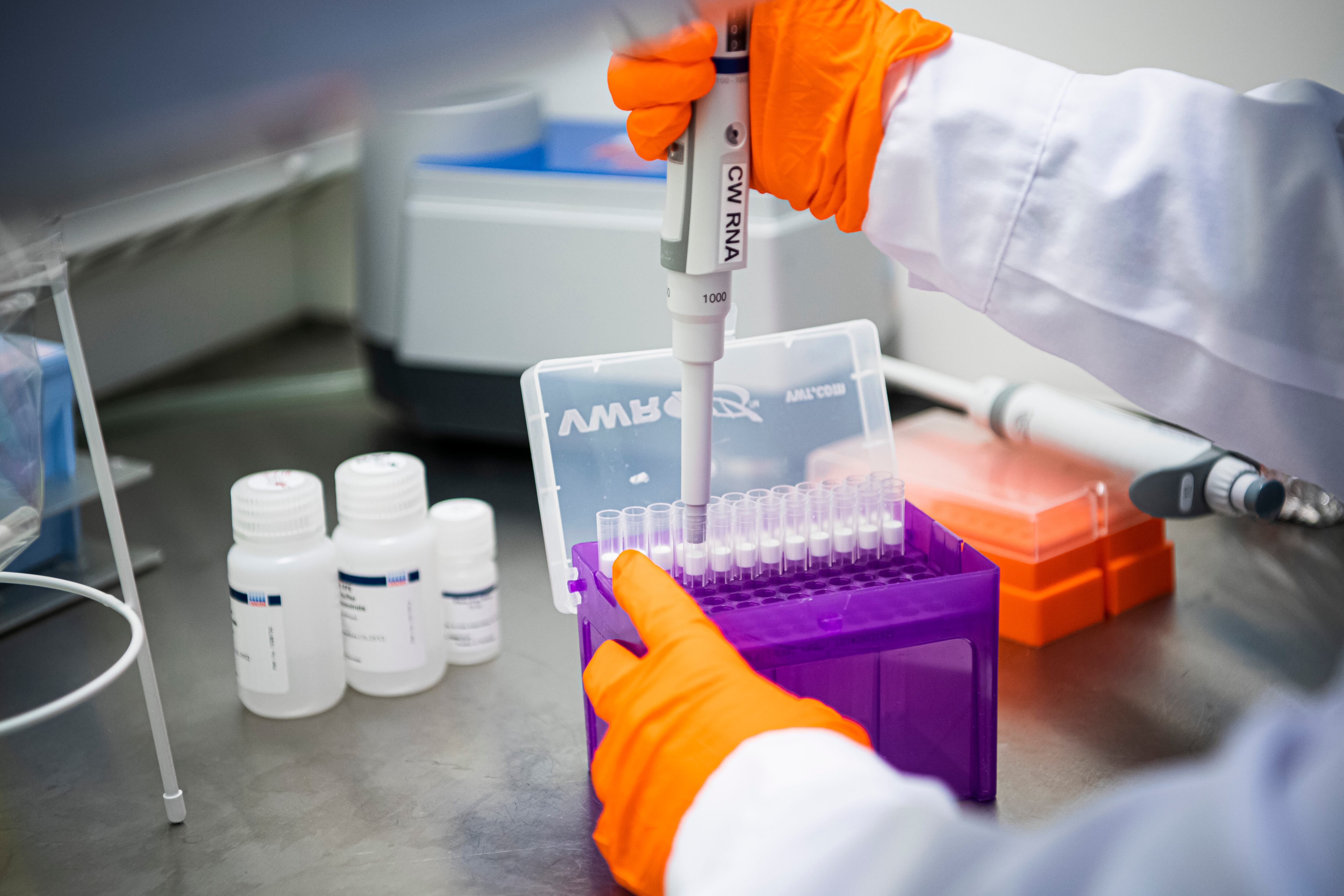 Cecilia Williams, professor at the Science for Life Laboratory, demonstrates how she tests samples for RNA on November 5, 2020 in Solna, near Stockholm. - Researchers have been testing wastewater from three facilities in Stockholm since mid-April after studies showed that remnants of the novel coronavirus could be detected in sewage water. The sewage water testing could help provide important insights into the spread and prevalence of the disease without the need for expensive widespread individual tests. (Photo by Jonathan NACKSTRAND / AFP)