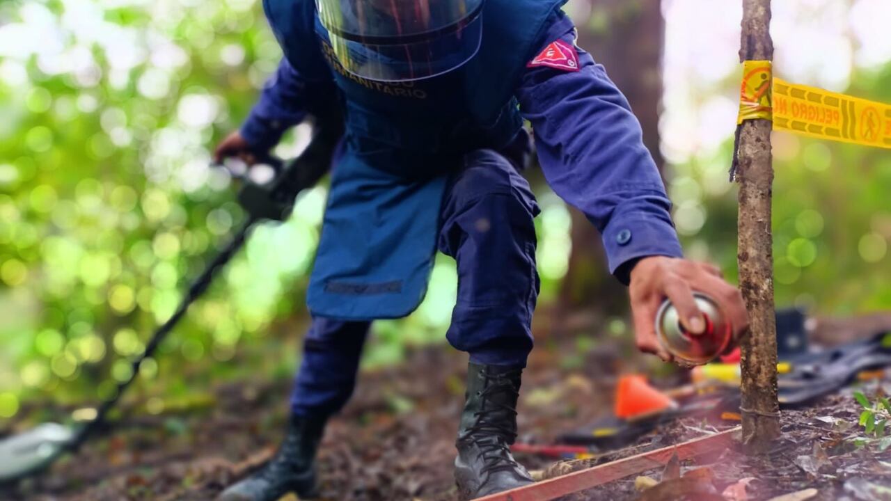 Este tipo de acciones buscan garantizar la seguridad de todos los colombianos.