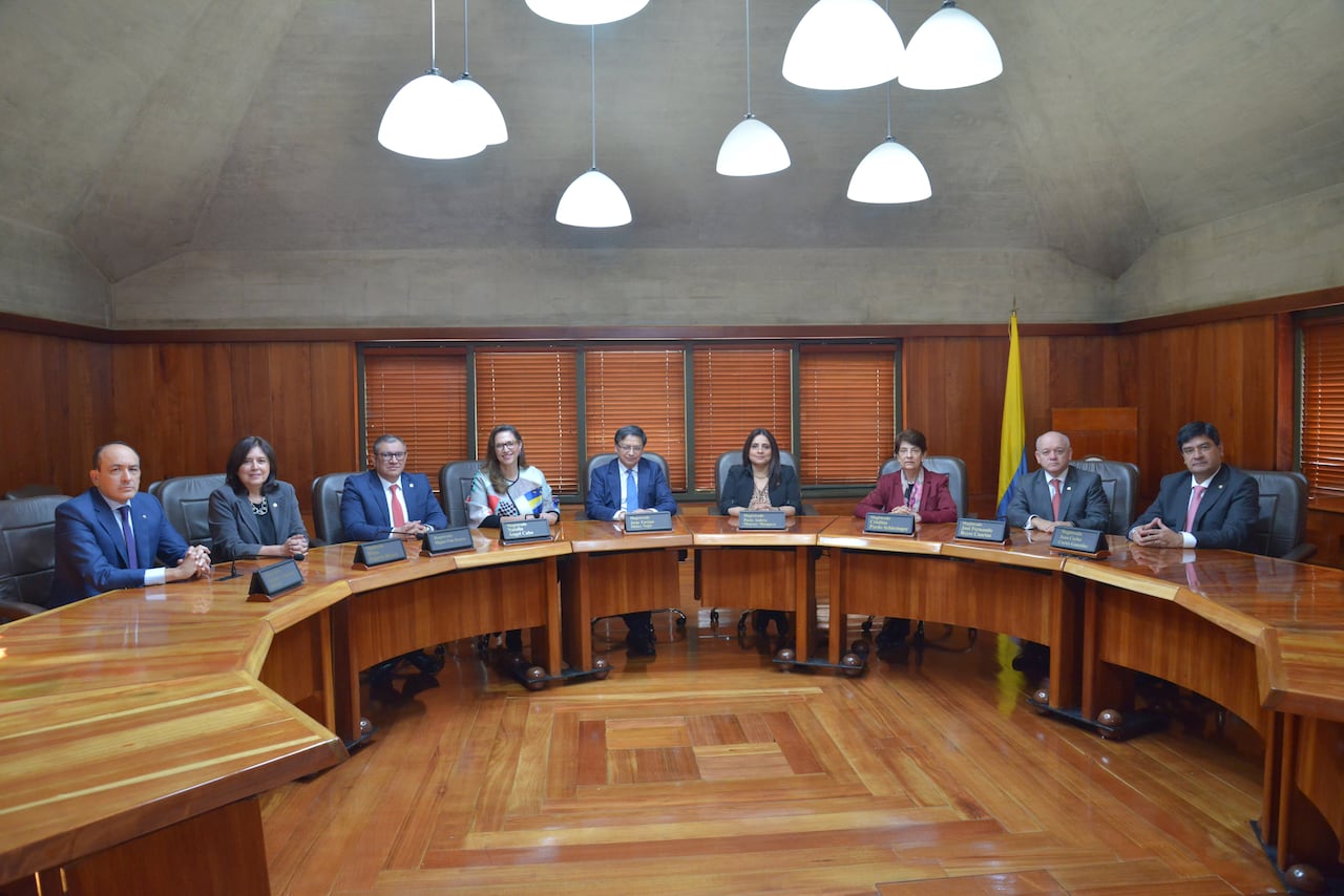 Sala Plena de la Corte Constitucional.