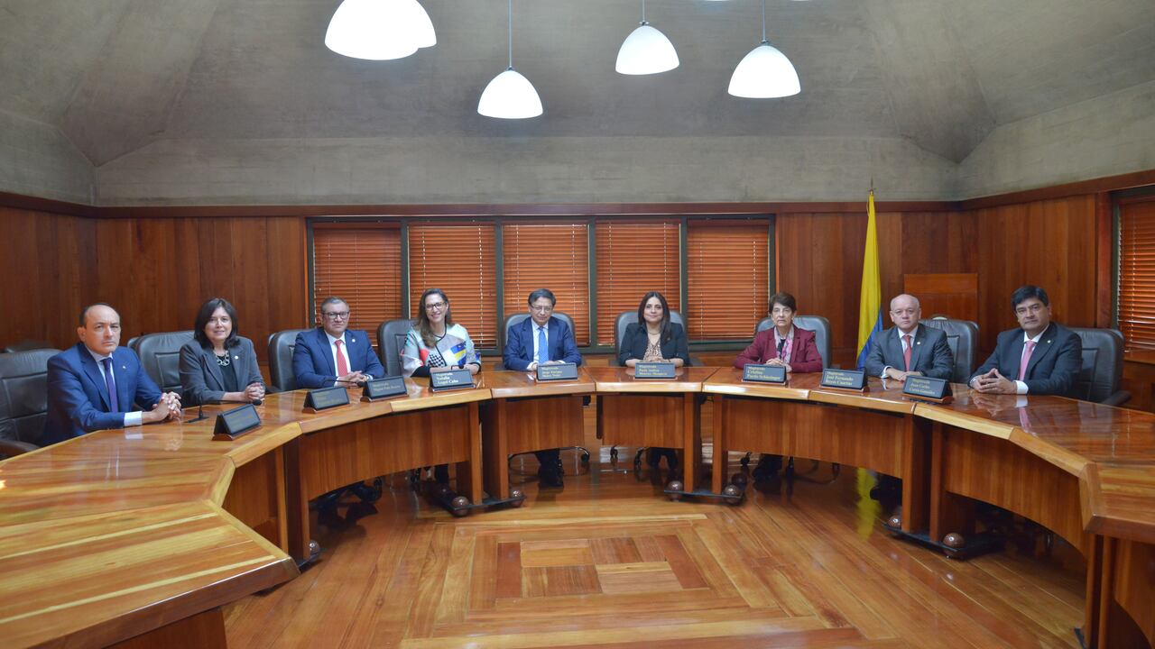 Sala Plena de la Corte Constitucional.