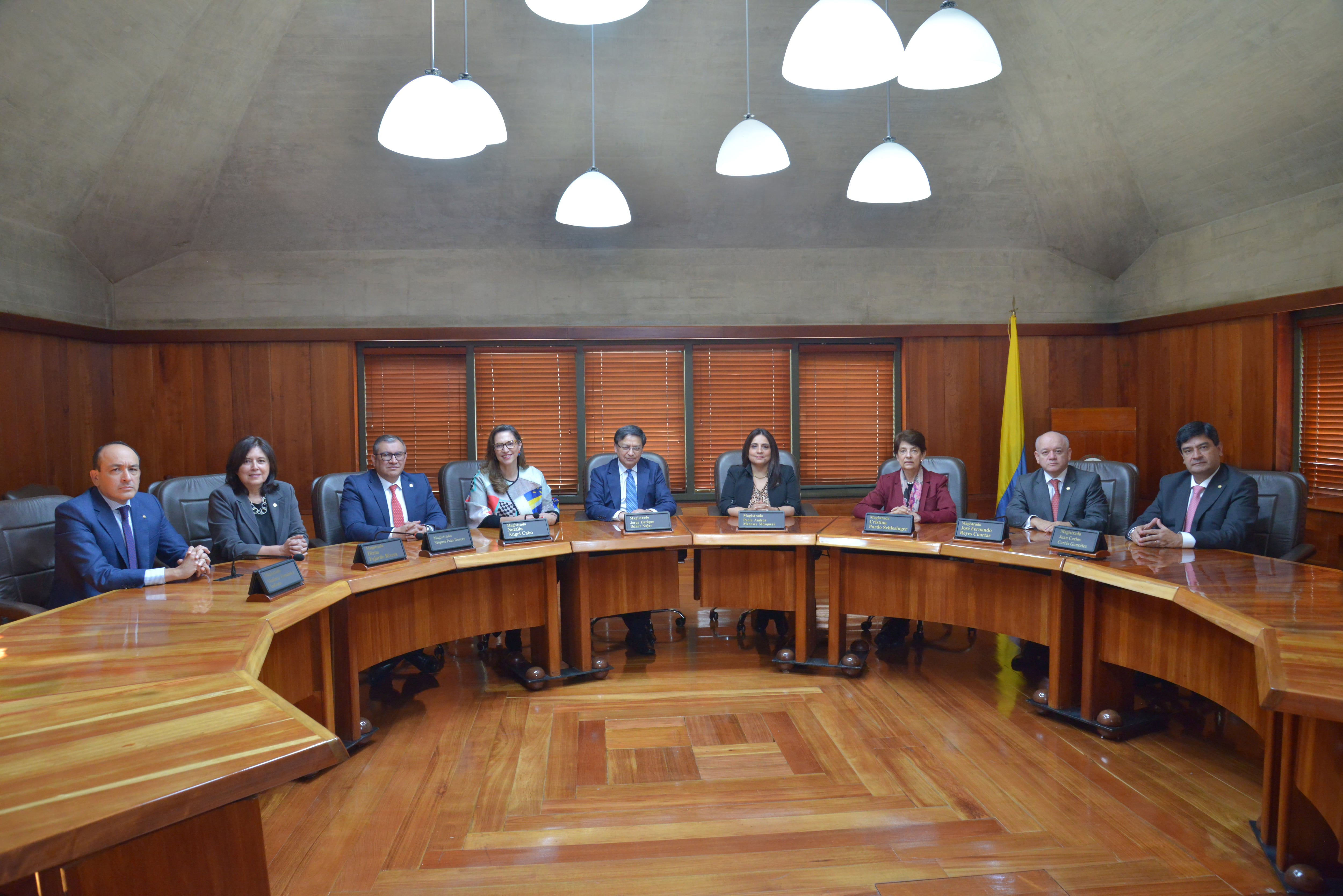 Sala Plena de la Corte Constitucional.