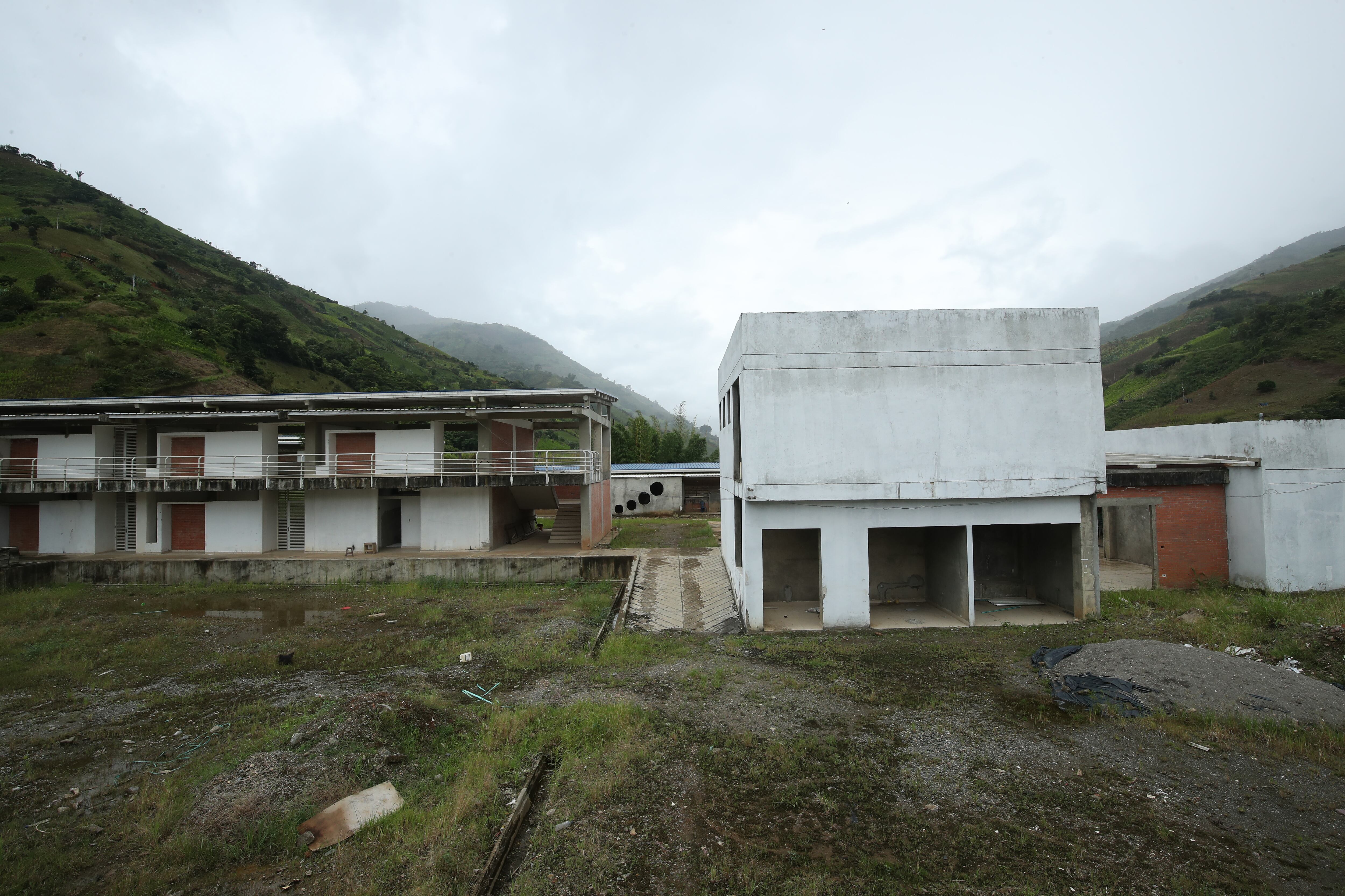 Coca y elefante banco