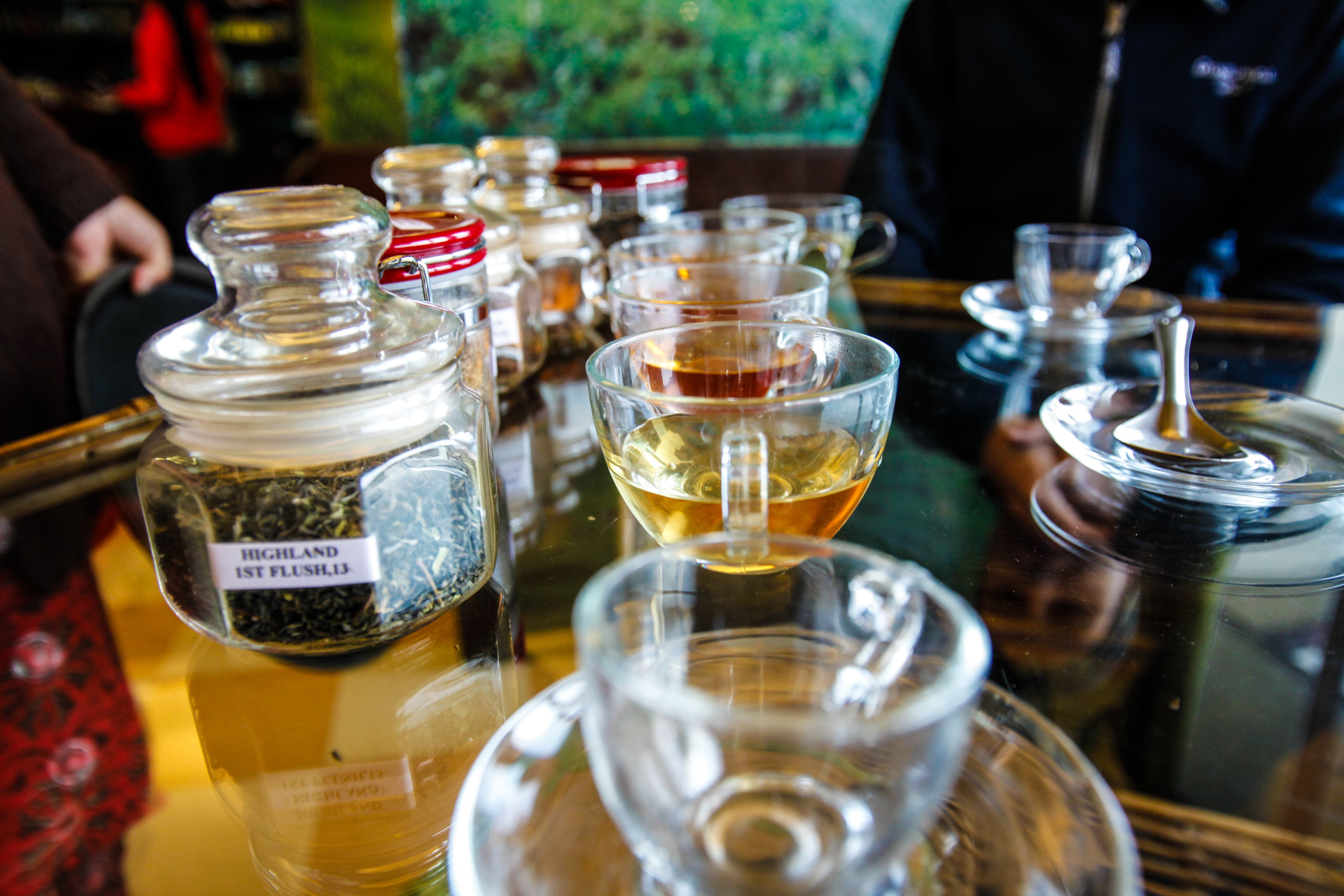 La especie es bien conocida en Colombia pues se usa en algunas ocasiones para darle sabor a las comidas