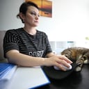 ¿Por qué los gatos duermen sobre los computadores?