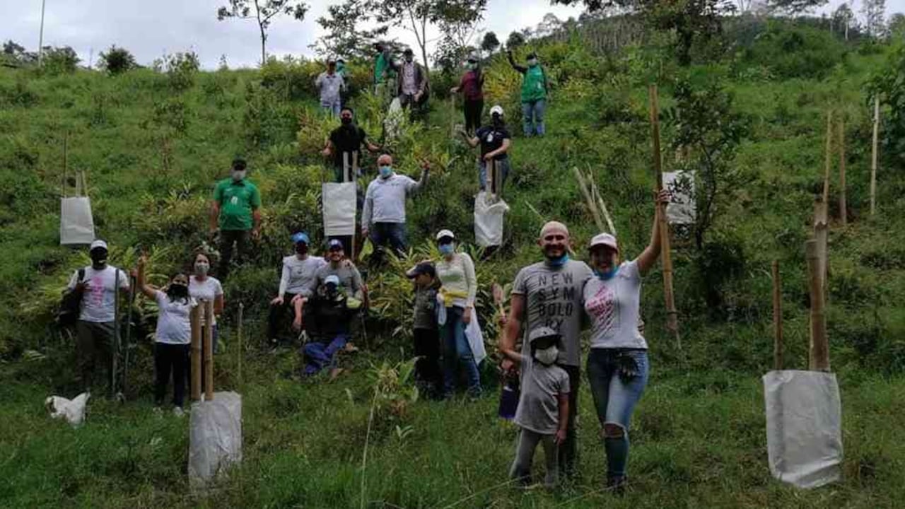 El esfuerzo conjunto de las CAR, el Ministerio de Ambiente, el Ejército, la Policía y las Fuerzas Armadas, además de otros entes territoriales y la comunidad permitió la siembra de 1.282.518 árboles para conmemorar el Día del Árbol.