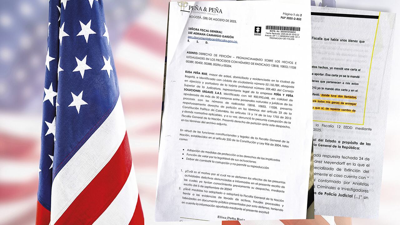 Documentos de referencia que fueron divulgados en medio de la investigación.