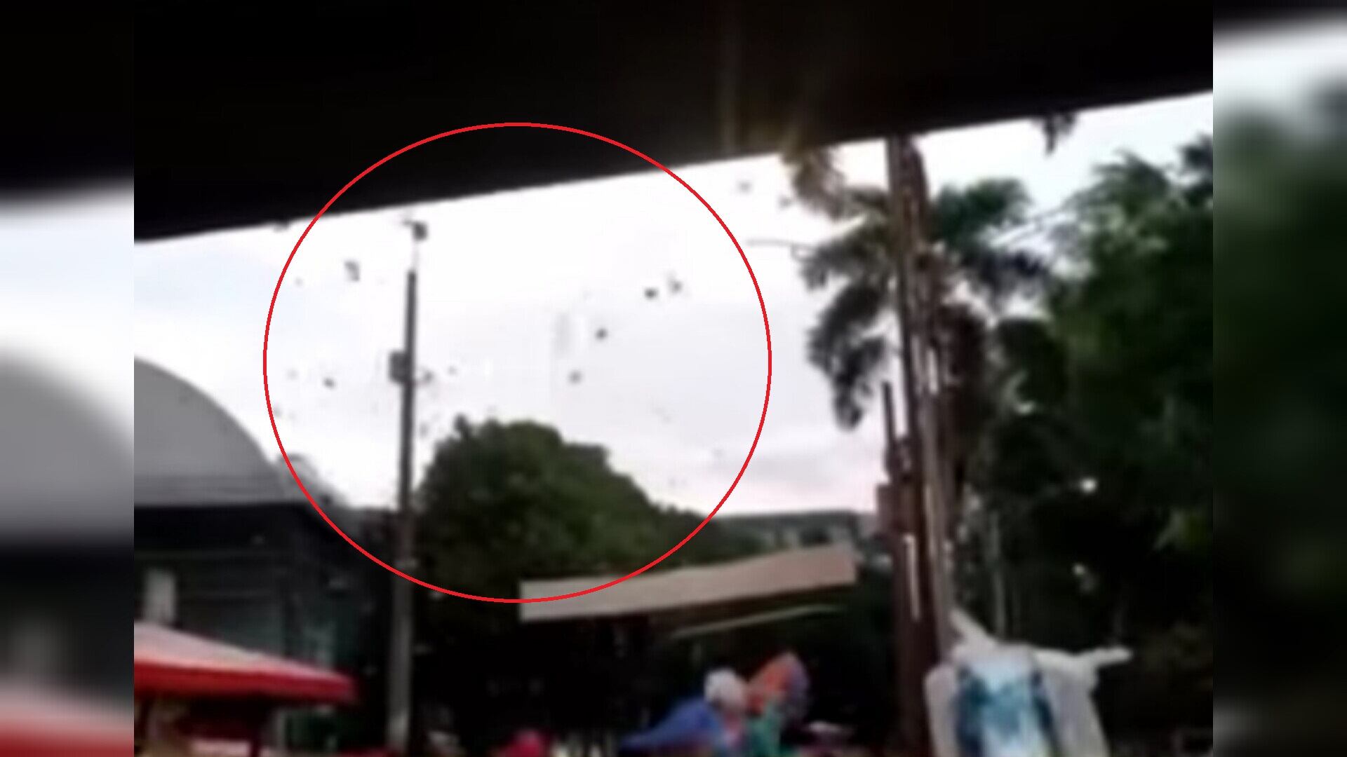 Todo se trataba de una broma ya que los billetes de 100.000 pesos eran falsos