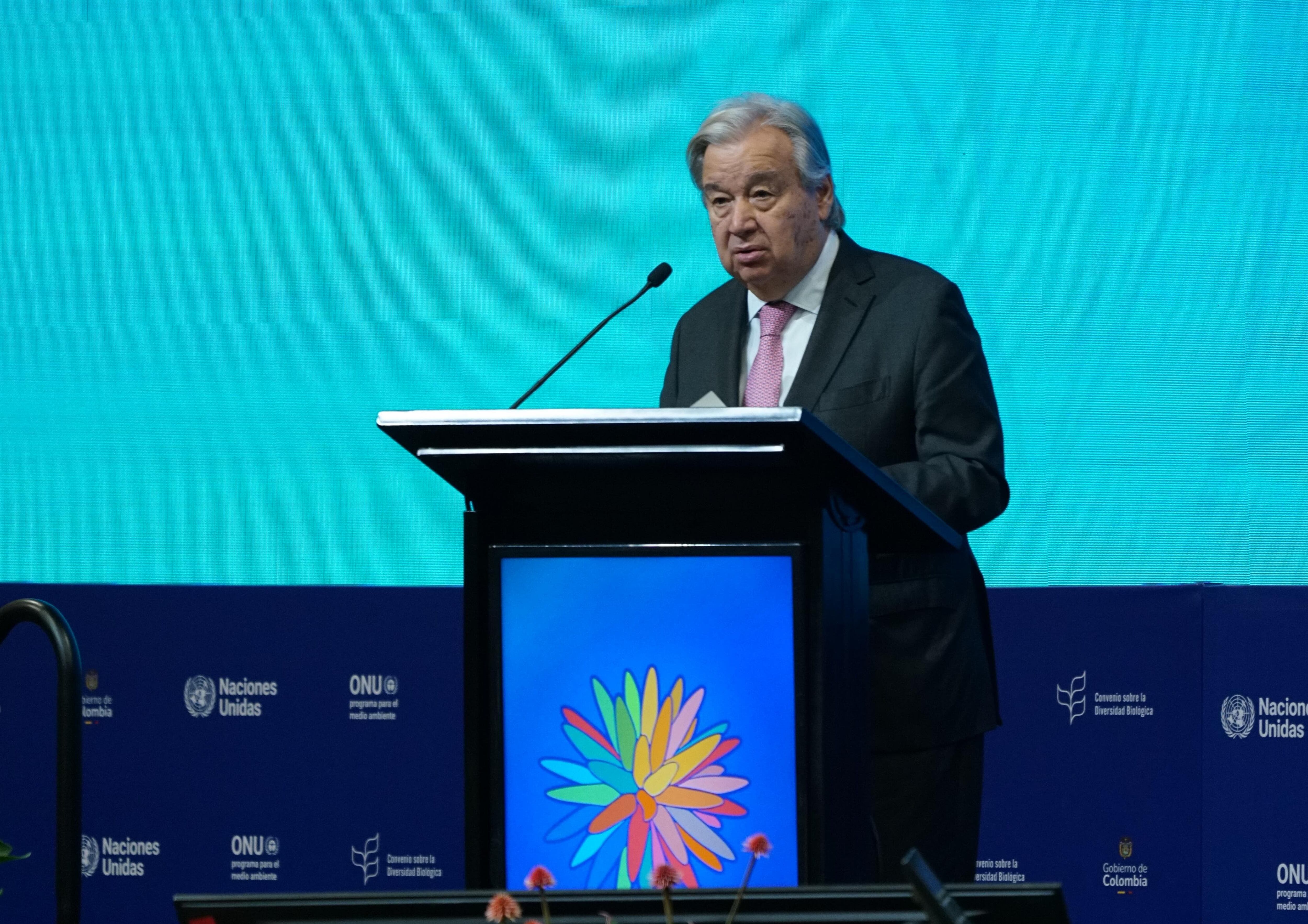 Instalación de la sesión plenaria de alto nivel de la COP16 .