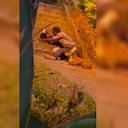 José Luis Matos, Choco, en la celebración del cumpleaños de sus perros