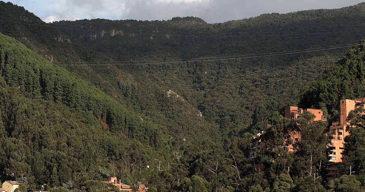 La idea es integrar la Serranía El Zuque a la propuesta de uso y manejo de los Cerros Orientales de Bogotá. 