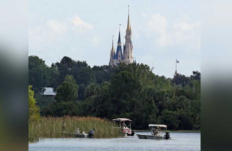 El pequeño y su familia estaban caminando por la orilla del lago, cuando un caimán surgió del agua y arrastró al pequeño. El padre intentó forcejear con el animal e incluso se lanzó al agua, pero no sirvió de nada. Foto: Red Huber/Orlando Sentinel via AP
