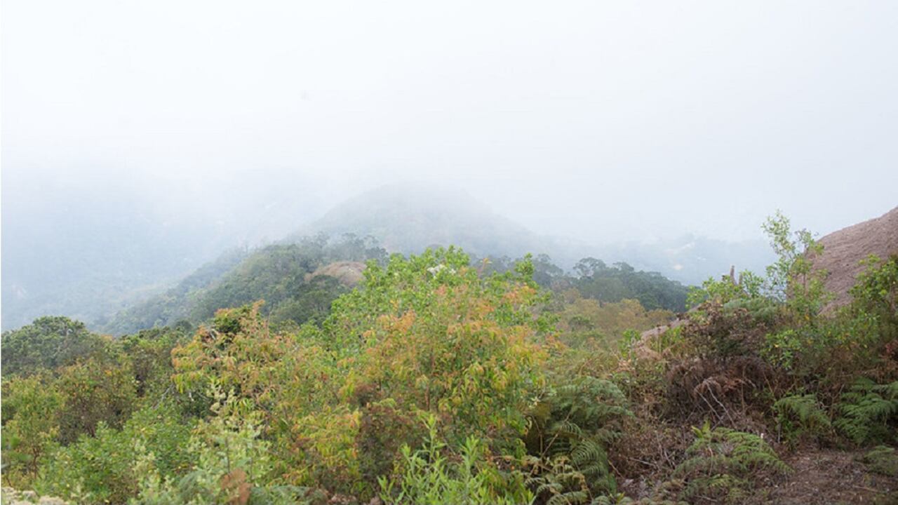 La Reserva ProAves El Dorado está ubicada en la Sierra Nevada de Santa Marta.