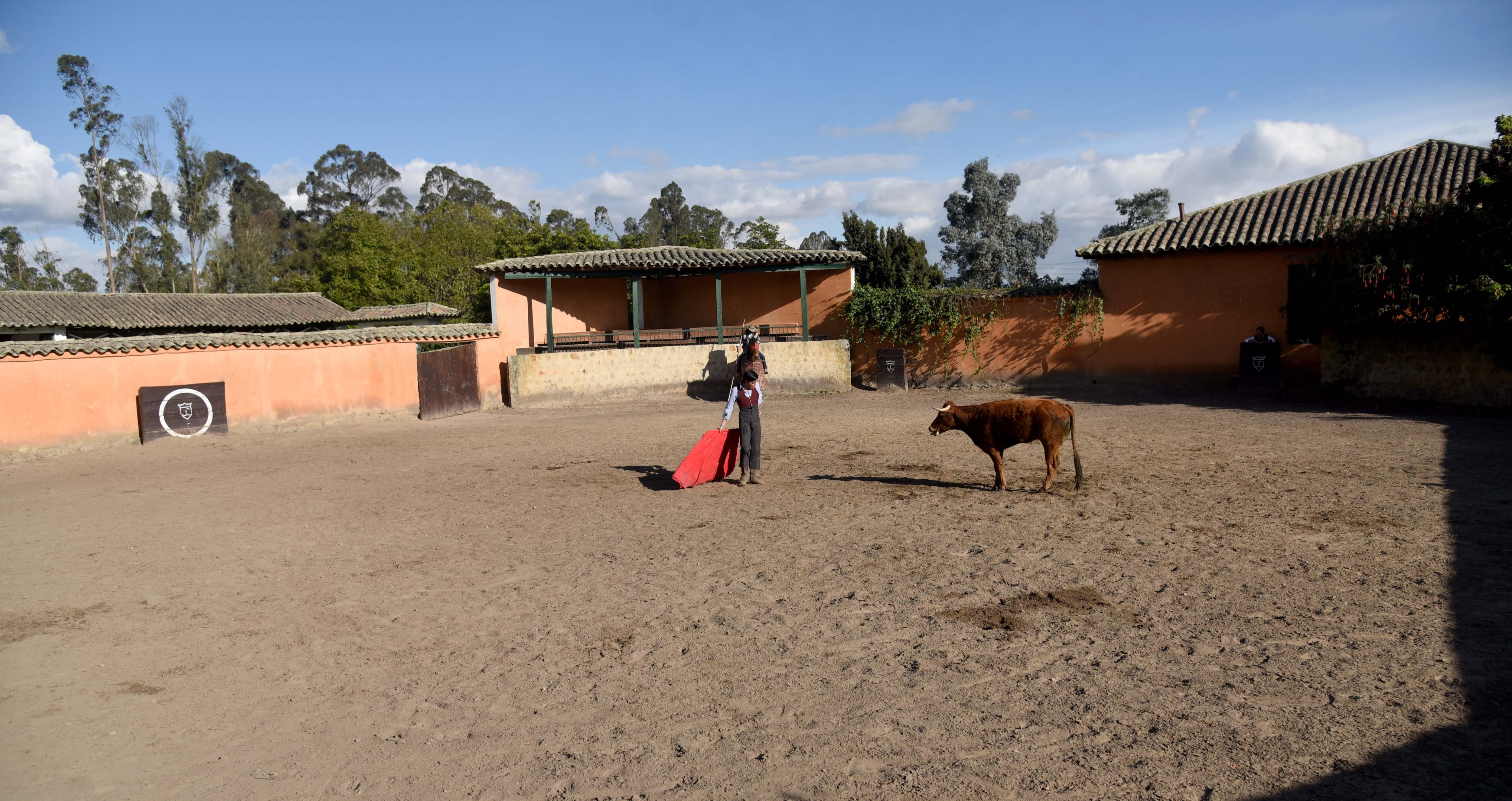 Joselito Castañeda, novillero colombiano. Hacienda La Holanda, ganadería Mondoñedo. 19 de enero de 2022.