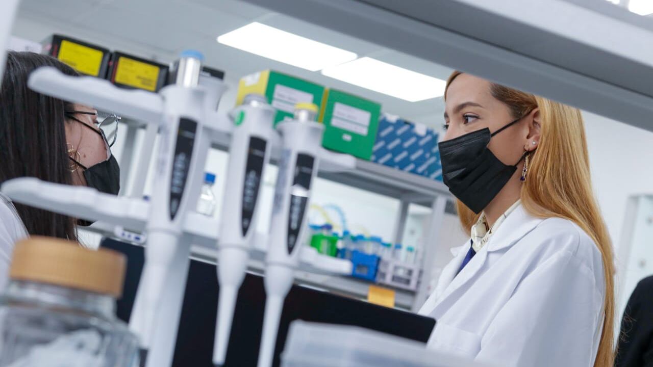 Ministerio de Ciencia, Tecnología e Información