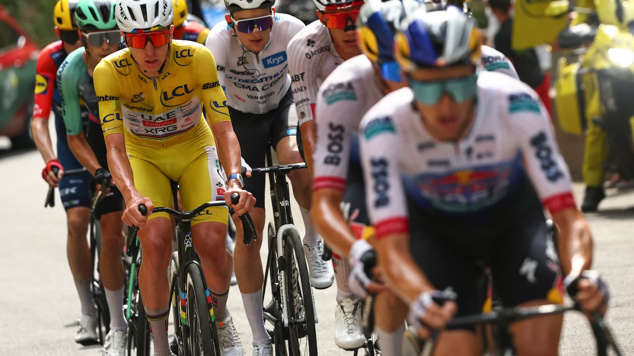Etapa 15 del Tour de Francia.