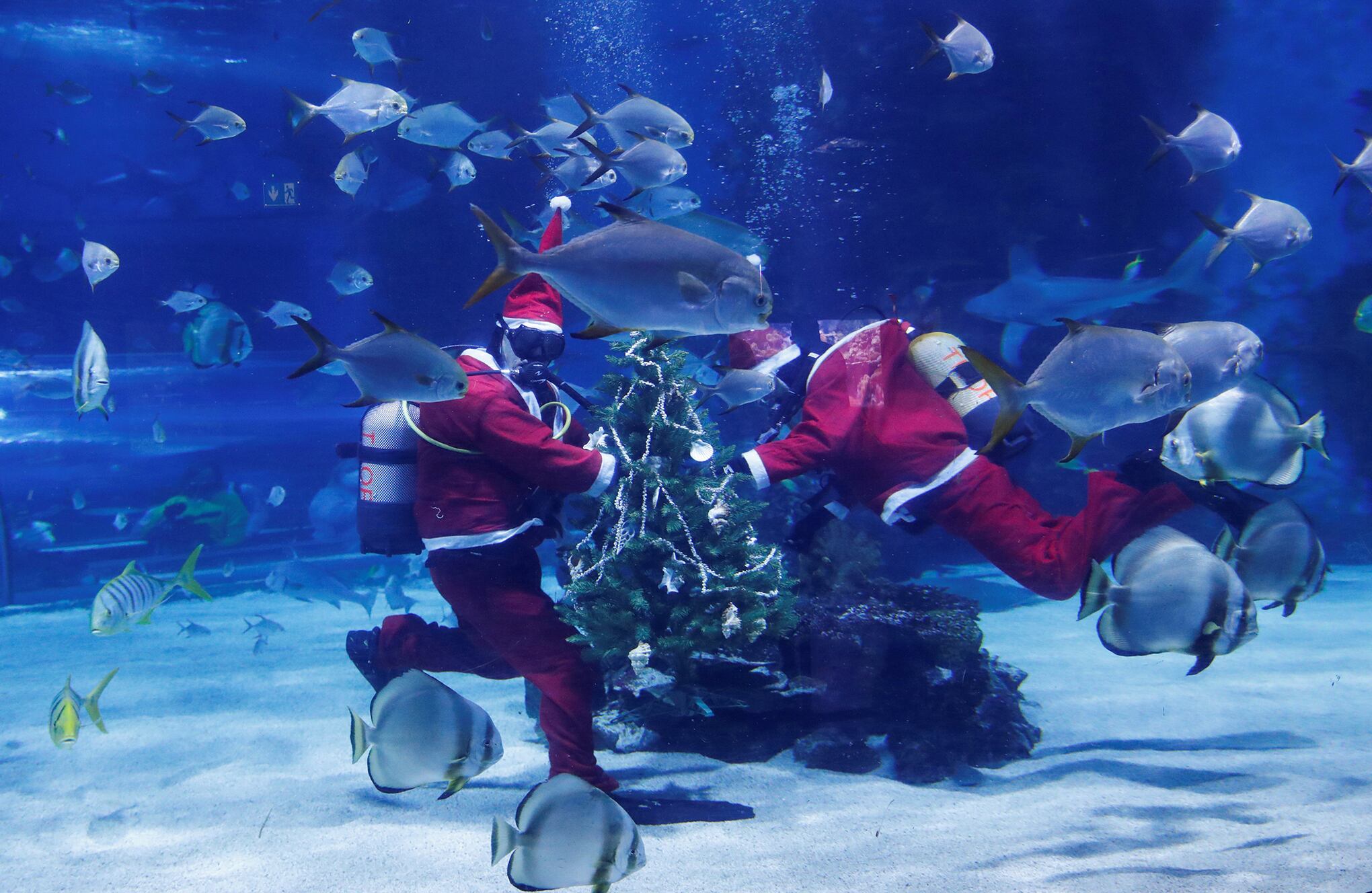 ¿Eres tú Santa Claus?