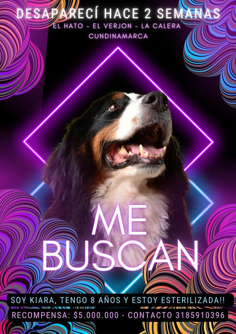 #BuscandoAKiara. Foto de cortesía de Camilo Jaramillo