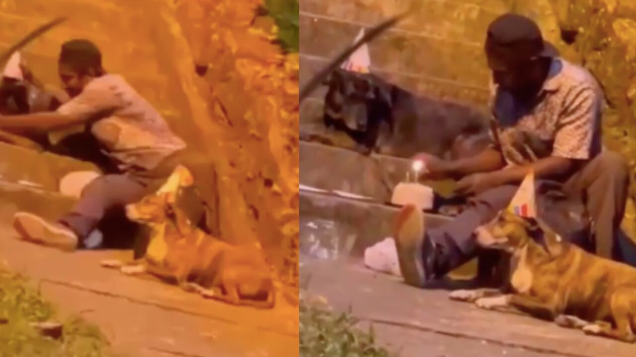 José Luís Matos mientras celebraba el cumpleaños de una de sus mascotas.