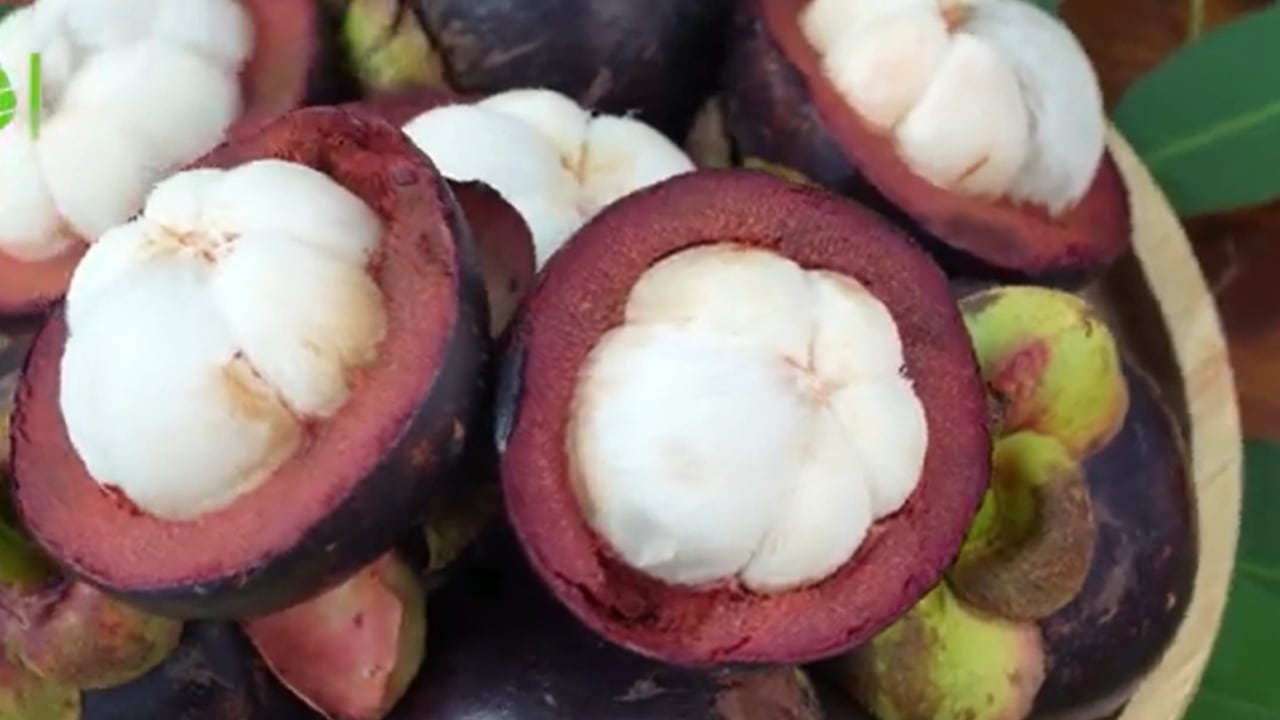 Conozca cuáles son los países con las frutas más exóticas del mundo