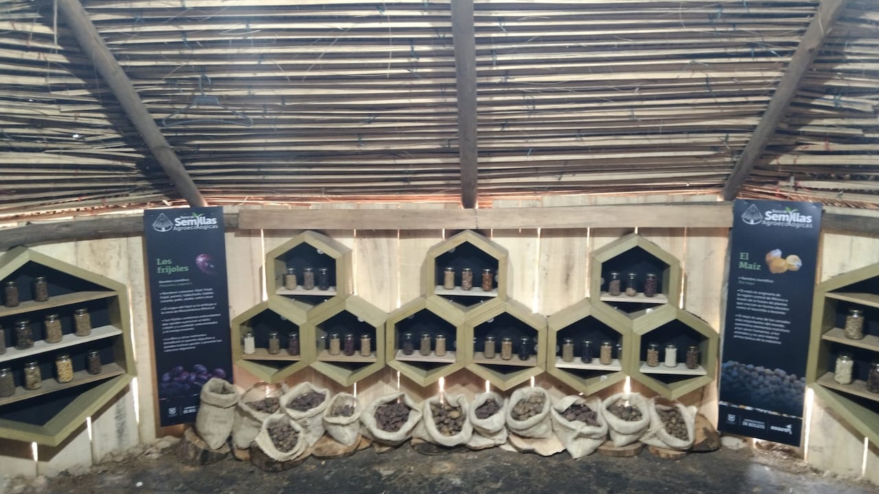 Banco de semillas agroecológicas.
