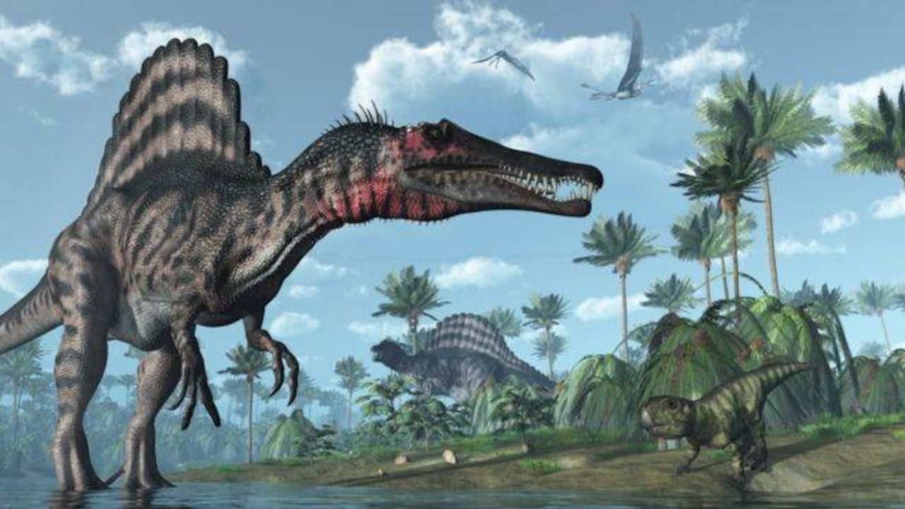 El dinosaurio espinosaurio era el mayor depredador del Cretácico. Foto: GETTY vía BBC.