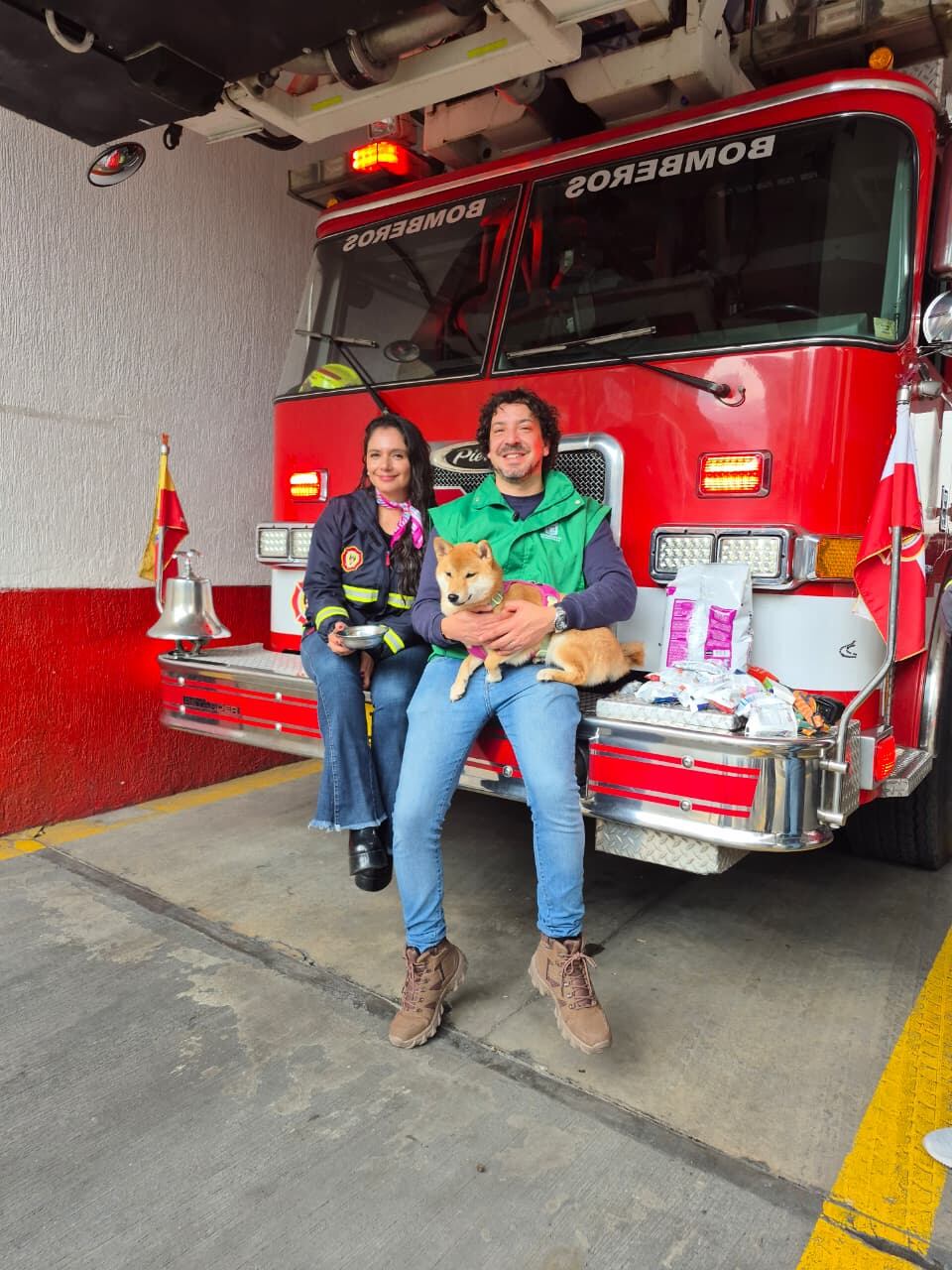 Animales afectados por lluvias en Córdoba