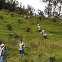 La iniciativa se extenderá hasta el próximo 29 de abril.