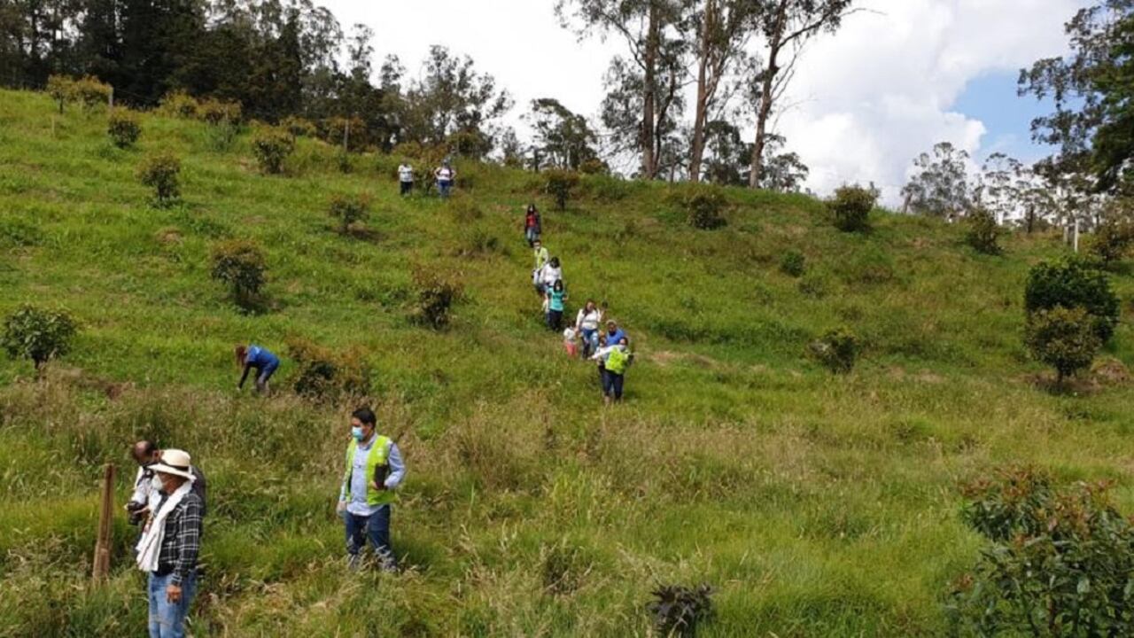 La iniciativa se extenderá hasta el próximo 29 de abril.