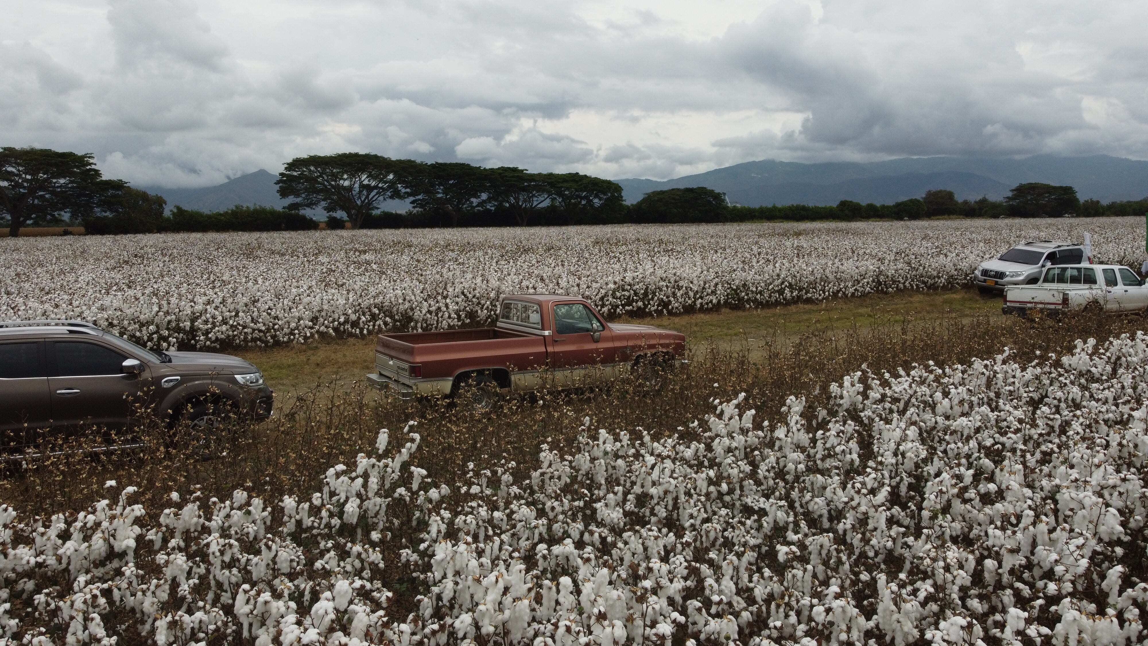 El llamado de Jorge Hernán Olarte, director ejecutivo de Diagonal, es que se priorice comprar colombiano y se apoye al sector algodonero y al textilero.