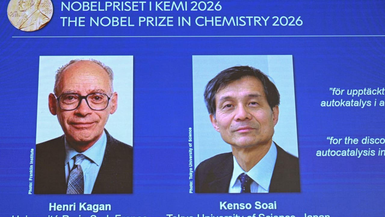 De izquierda a derecha: el francés Henri Kagan y el japonés Kenso Soai.