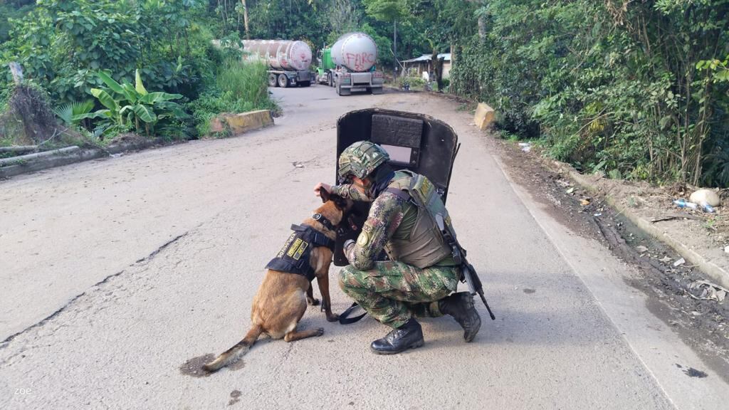 La acción terrorista iba dirigida contra miembros de la Fuerza pública y la población civil que transita por este sector.