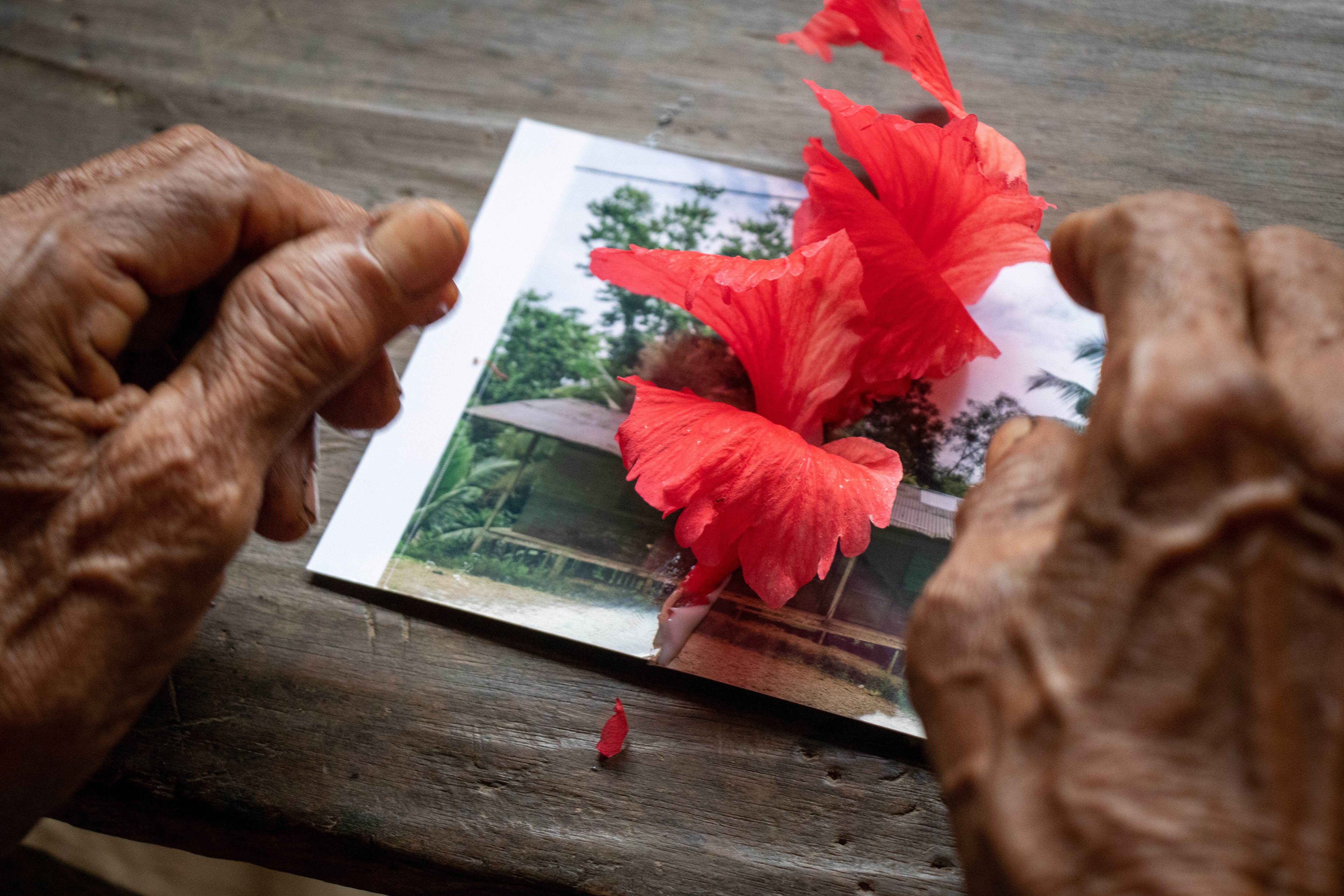 Mojaudo, Sanadora Teolinda.