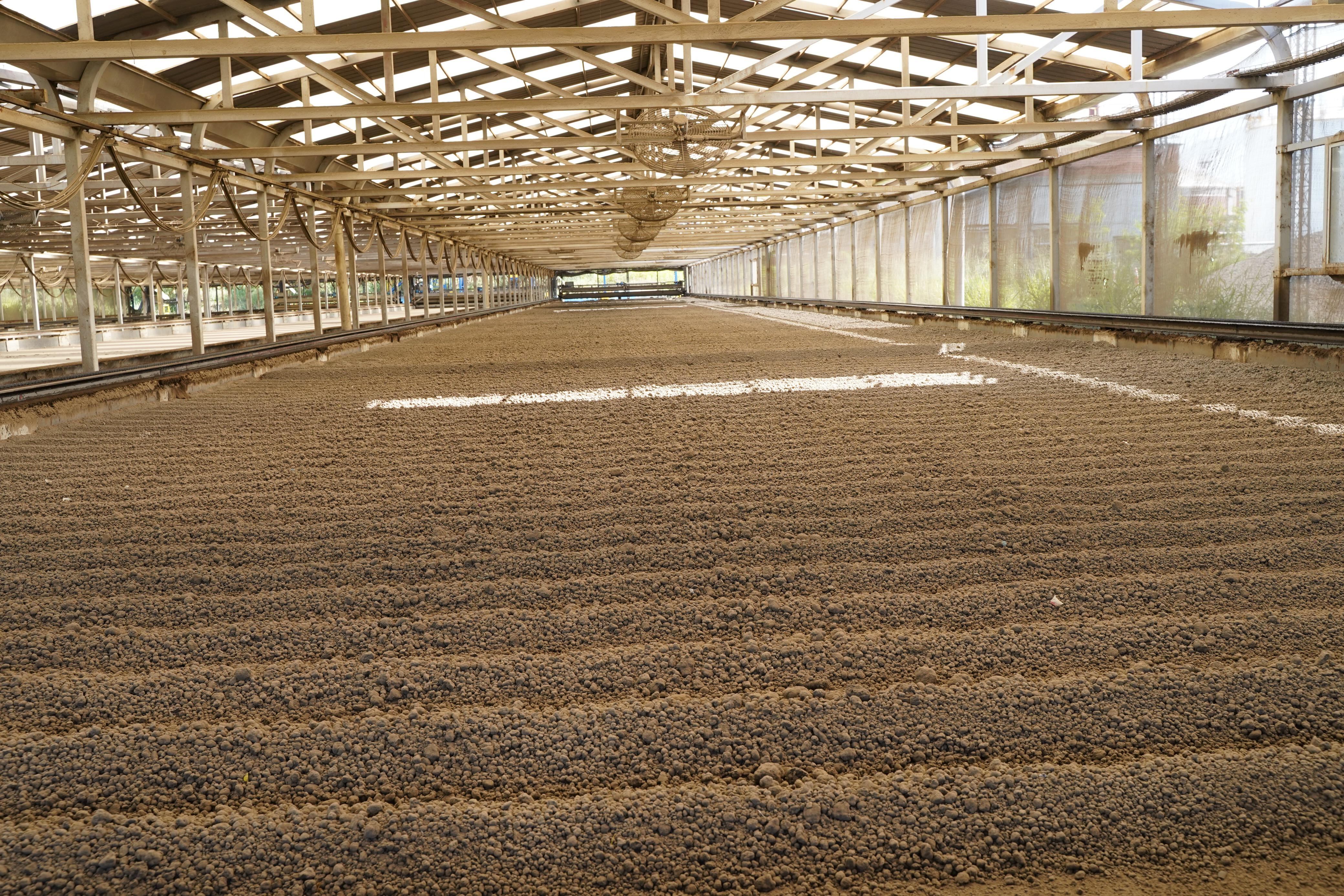 Proceso de aprovechamiento de lodo en Cali