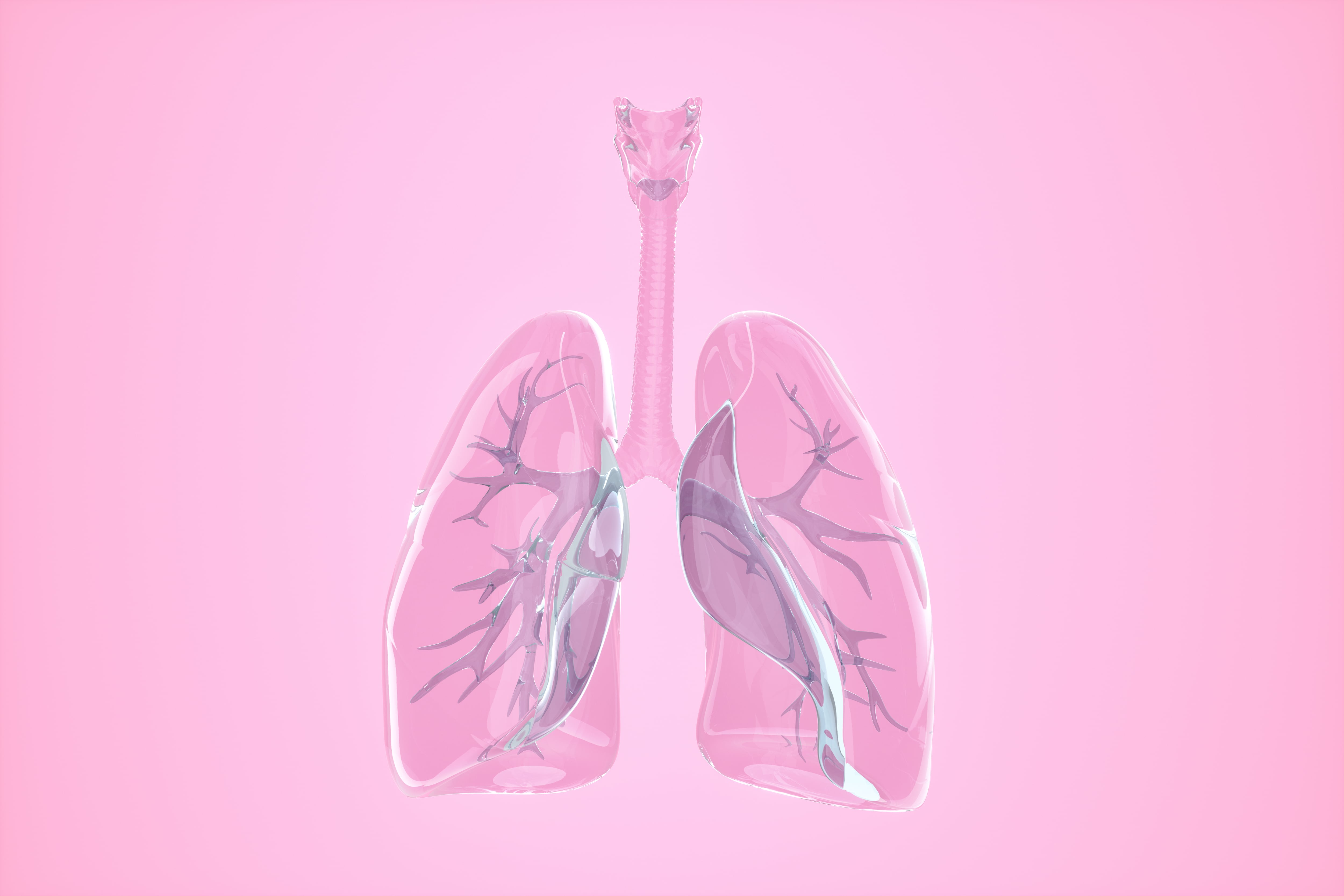 Pulmones