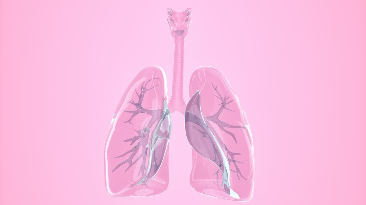 Pulmones