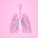 Las flemas se acumulan en los pulmones.