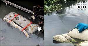 Los cuerpos de agua de la capital reciben los desperdicios de los ciudadanos. Fotos: EAAB.