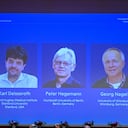 Premio Nobel de Medicina 2026.