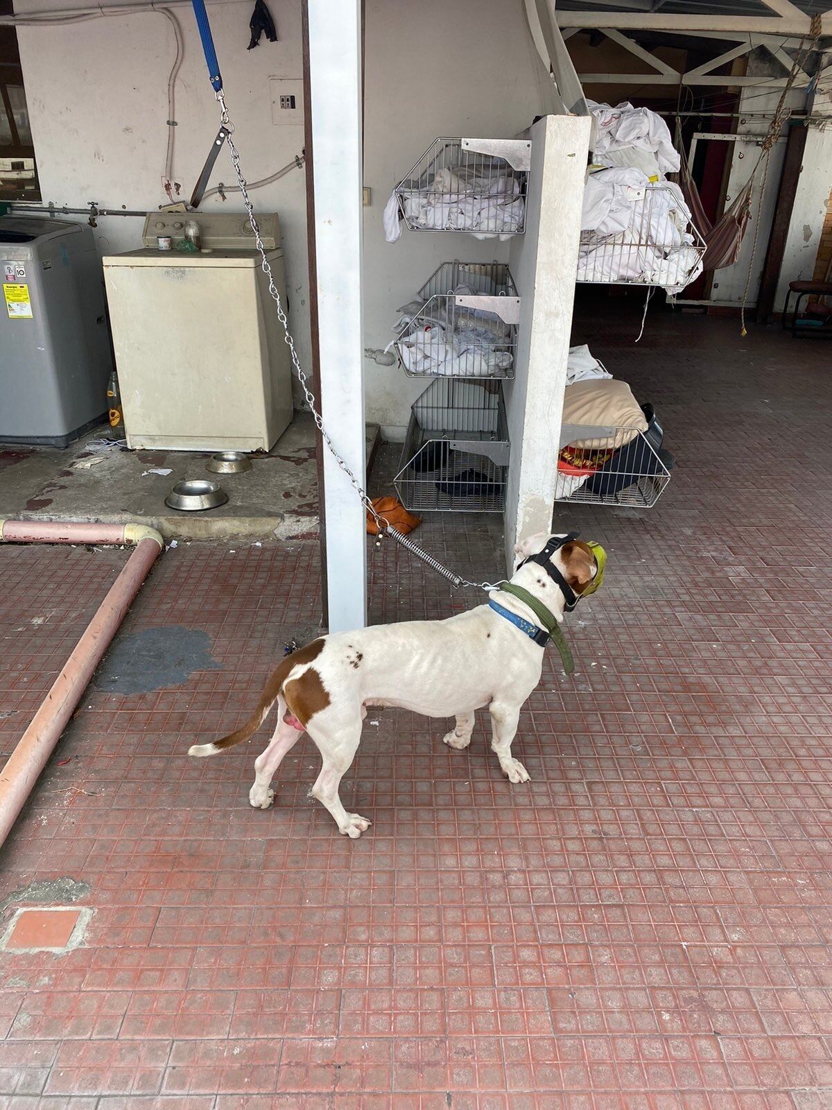 El hecho se presentó en el edificio conocido como Residencias Fantasía.