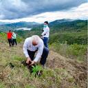 Las cuencas hídricas son lugares priorizados para la siembra de árboles dentro del programa Valle más Verde. Foto: Gobernación del Valle.