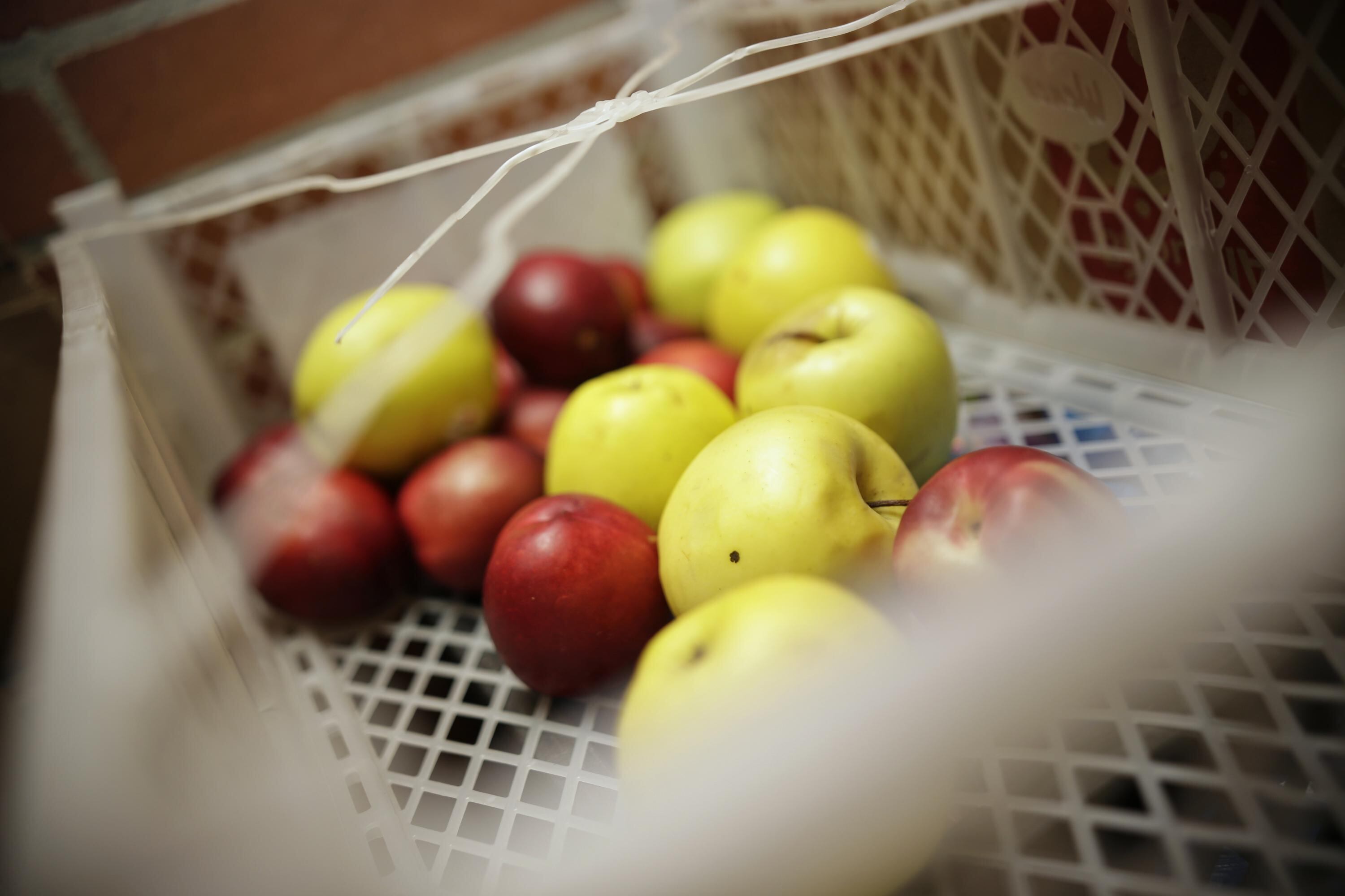 De los 24.450.000 kilos de alimentos rescatados en 2018, el 48% corresponde a frutas y verduras, el 14% a abarrotes y el 11% a lácteos.